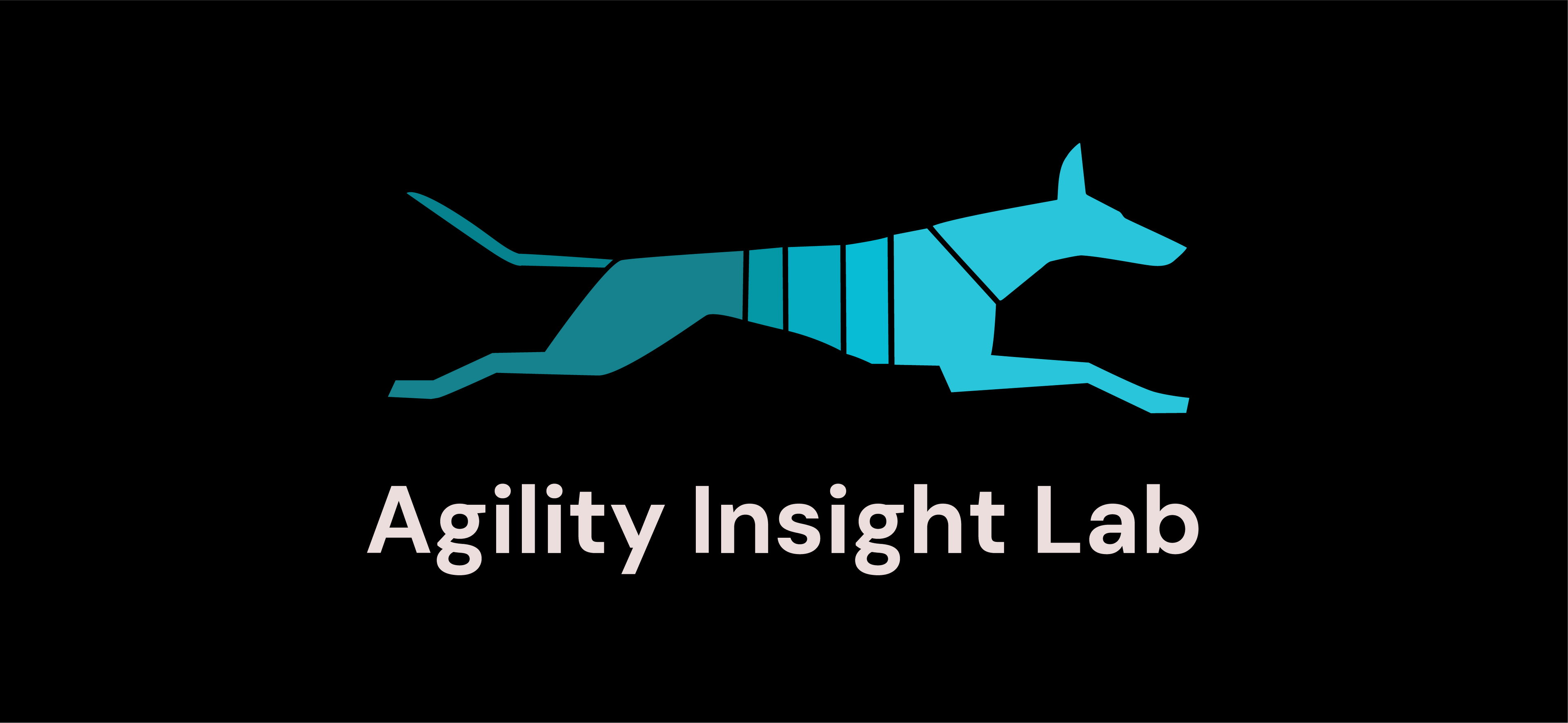 Agility Insight Lab